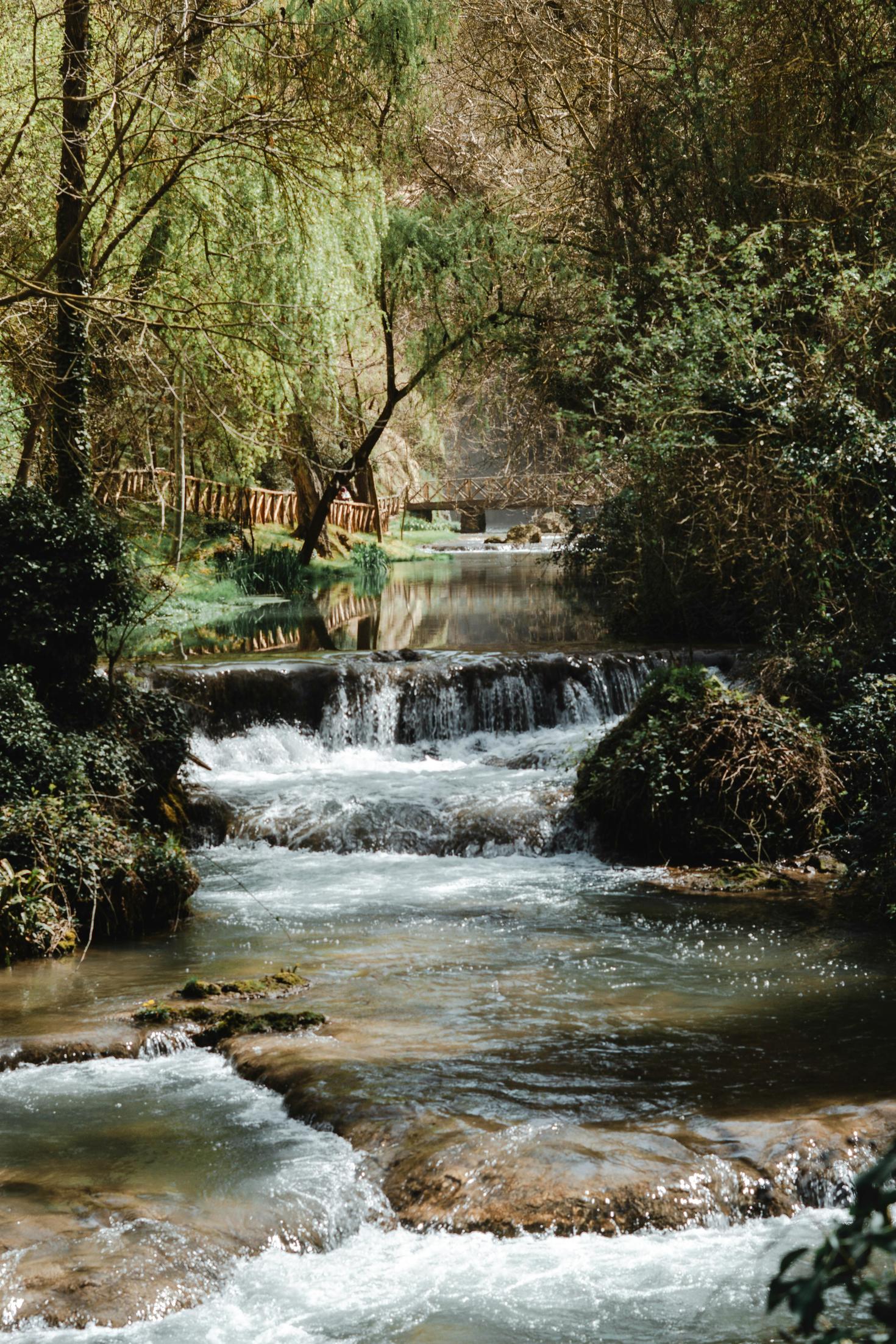 Un paisible ruisseau de forêt coule sur en cascades sur des roches sous des arbres baignés de soleil.