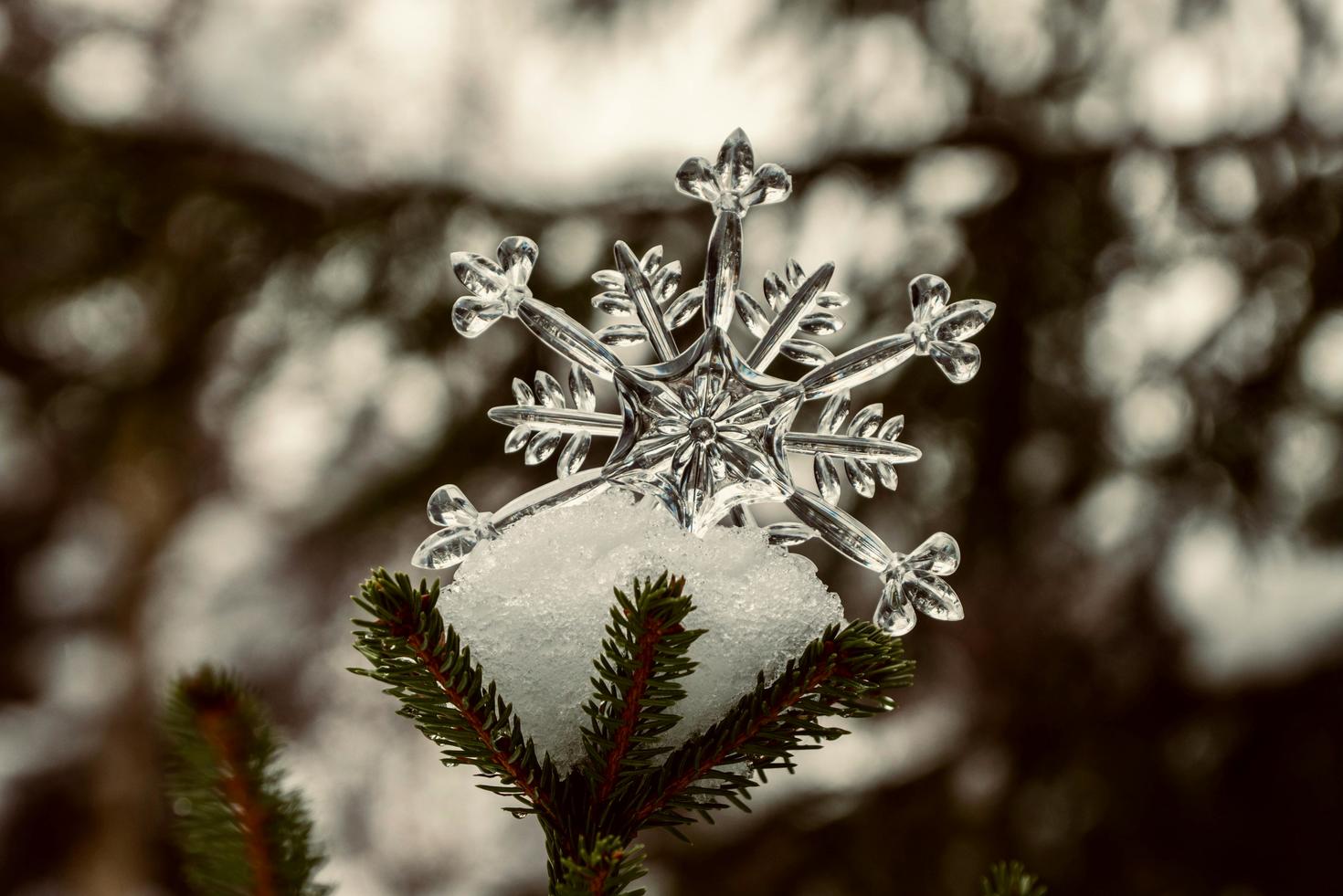 Flocon de neige cristallin décoratif sur une branche de sapin enneigée.
