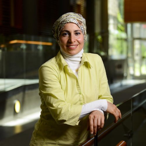 Nadia Abu-Zahra, professeure