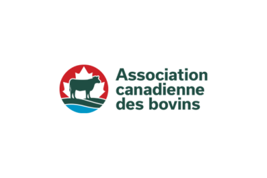 Logo de l'Association canadienne des bovins