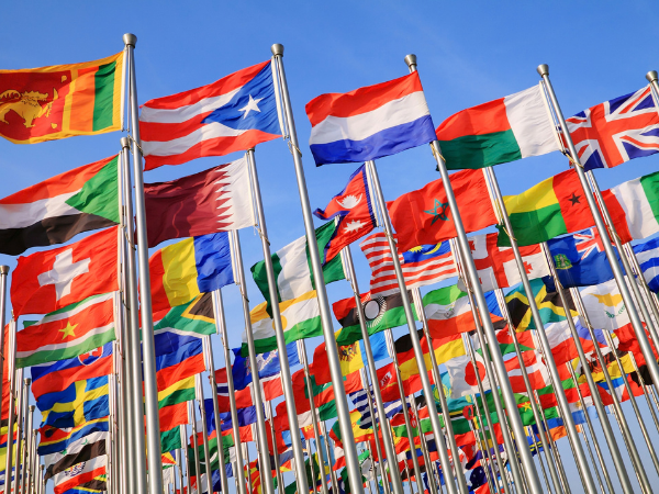 Drapeaux du monde