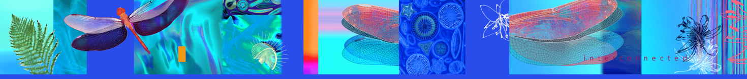 Motion-in-Air-Artwork