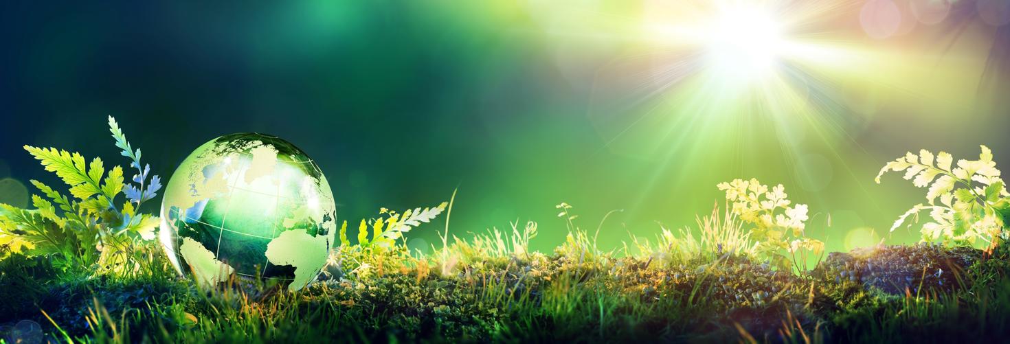 Globe among green grass and shrubs