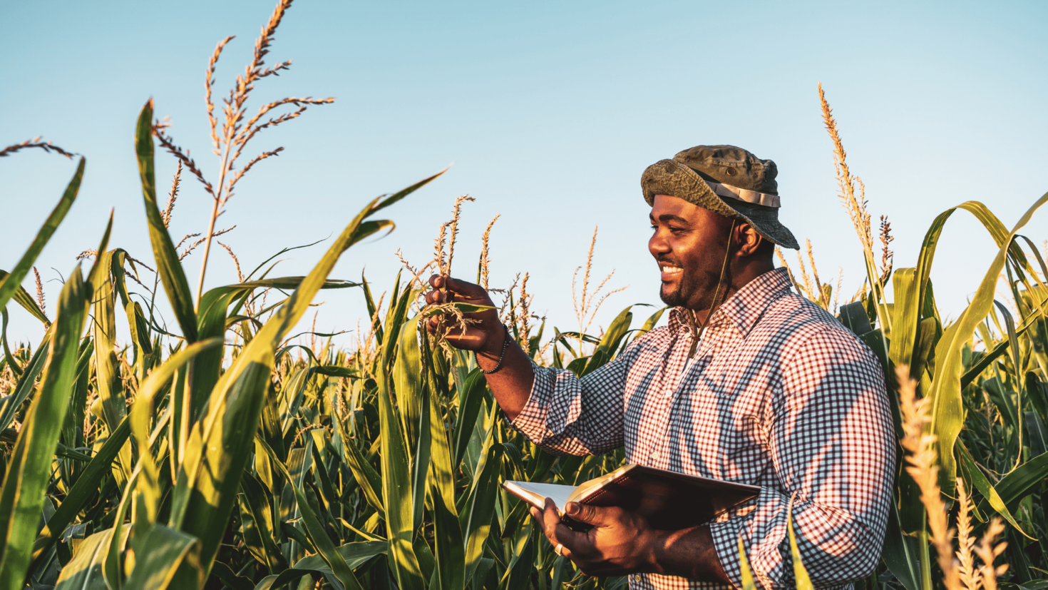 Agriculture