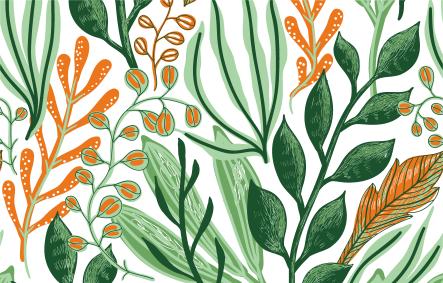 Plantes