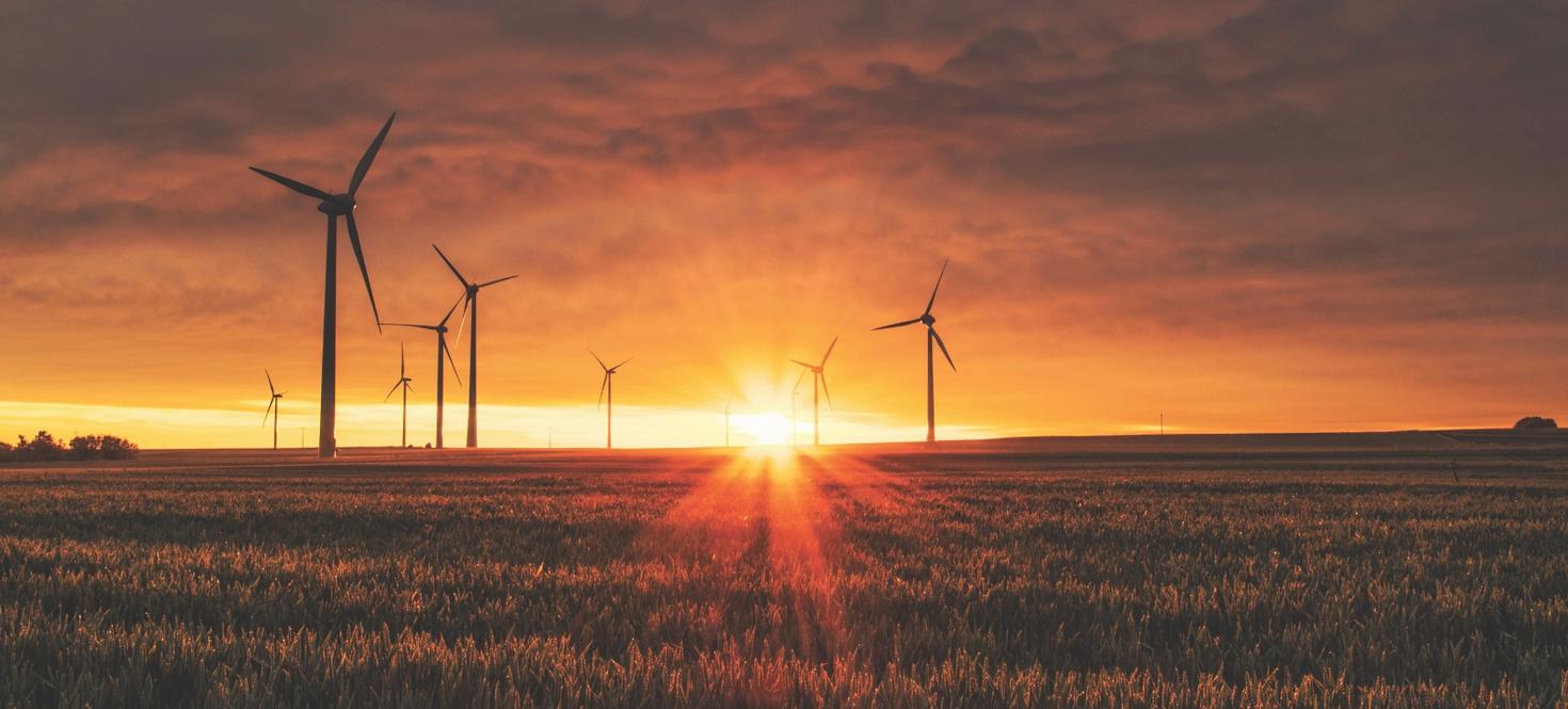 Lueur orangée du lever du soleil sur un champ parsemé de plusieurs éoliennes.
