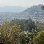 Four small trees in the foreground with the city of Kathmandu seen from far in the background