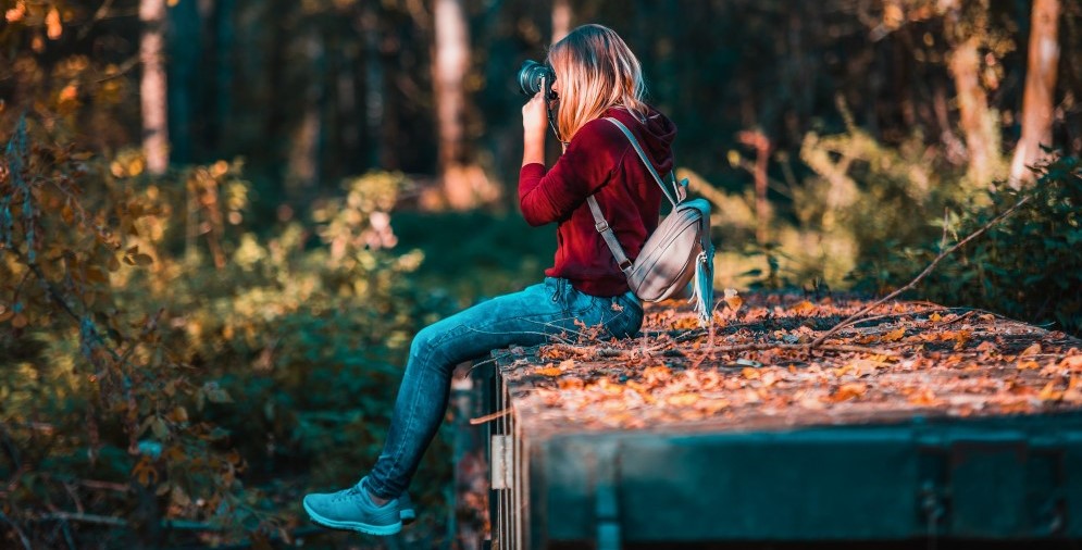 Personne prenant une photo dans le bois