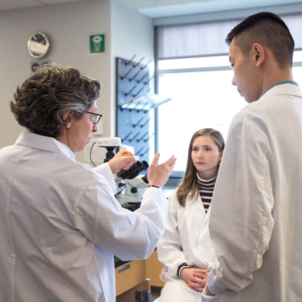 Professeur discutant avec des étudiants de premier cycle dans un laboratoire. 