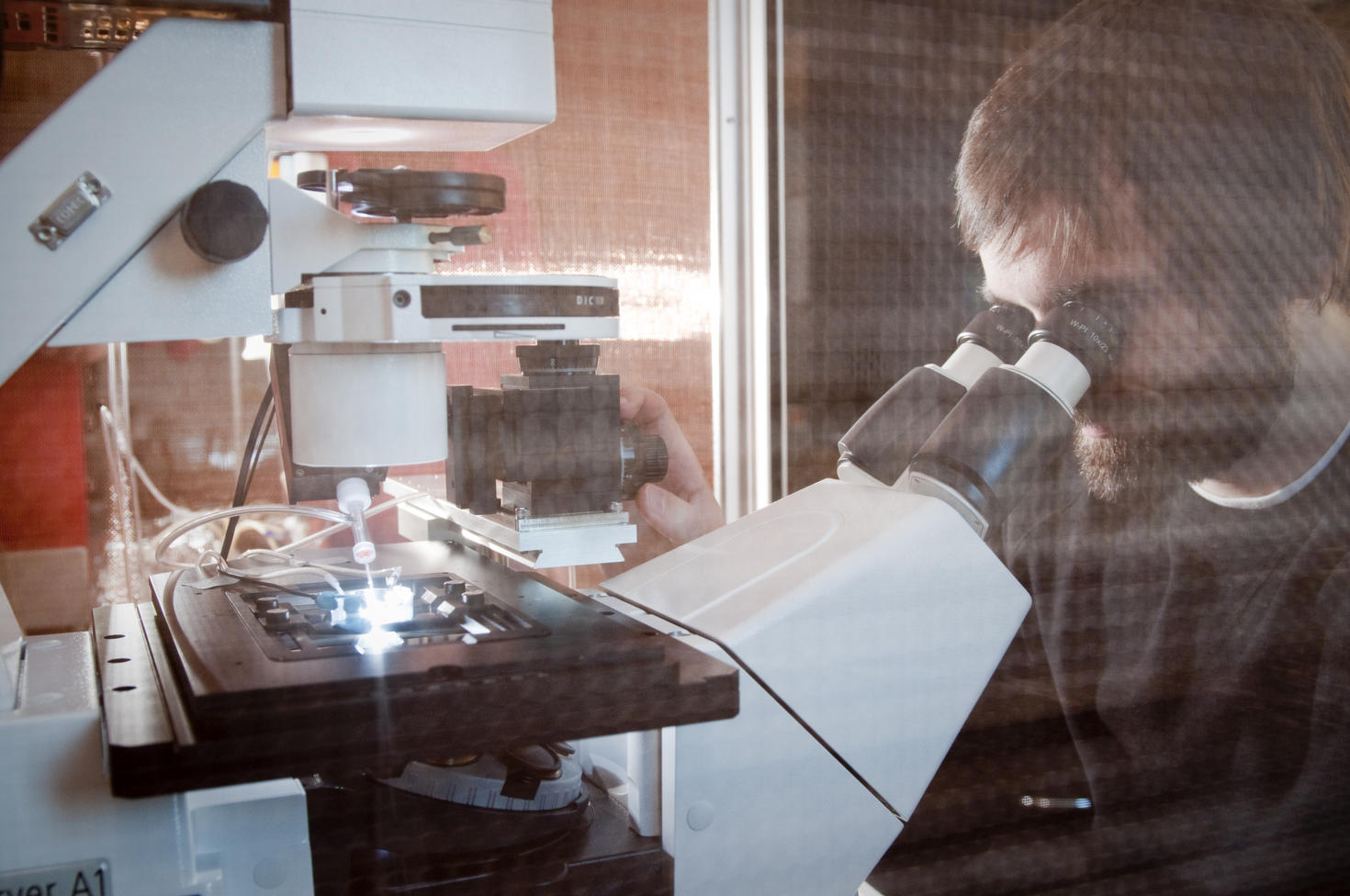 Étudiant diplômé regardant dans un microscope