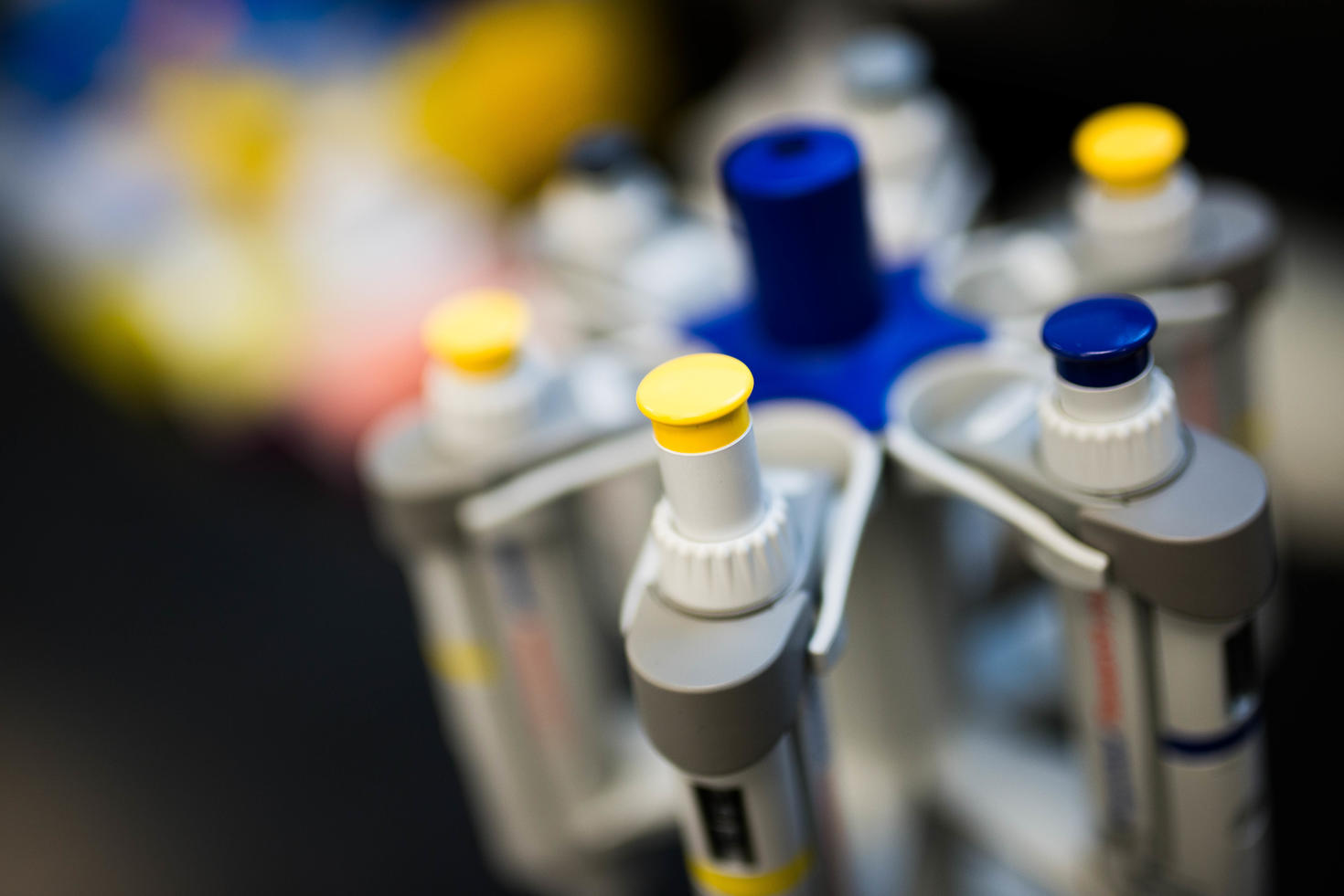 Gros plan sur de l'équipement de laboratoire.