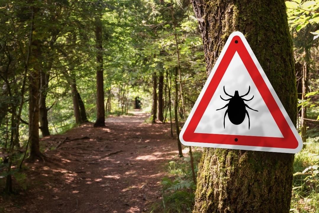 Un panneau signale la présence de tiques dans une forêt