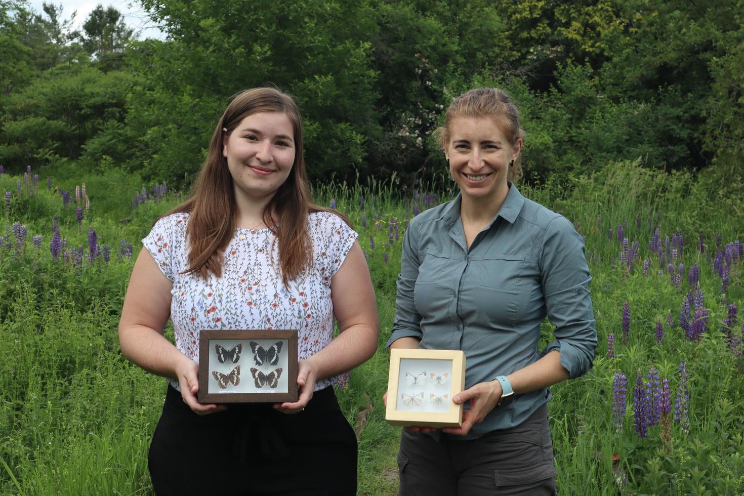 Stephanie A. Rivest, titulaire d’un doctorat et sa superviseure, la professeure Heather Kharouba, sont debout dans le jardin Fletcher Wildlife Garden et tiennent des spécimens de papillons encadrés. 