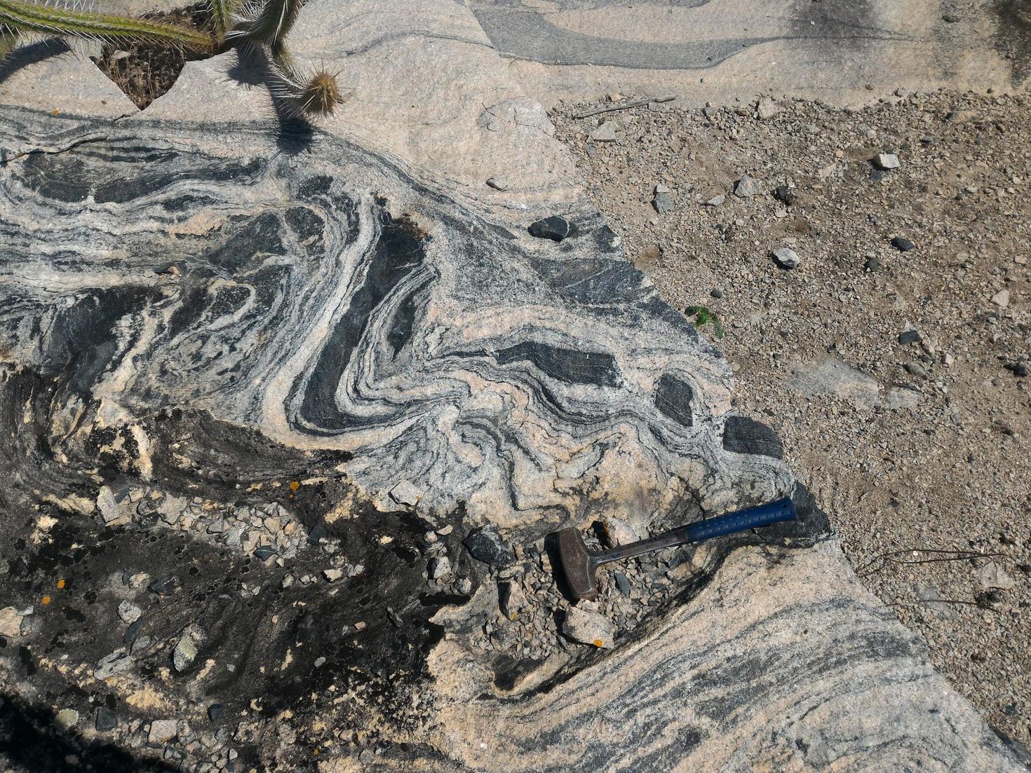 Gros plan d’un affleurement rocheux datant de 3,4 milliards d’années dans le nord-est du Brésil, montrant la forme distincte de couches tourbillonnantes aux colorations variées.