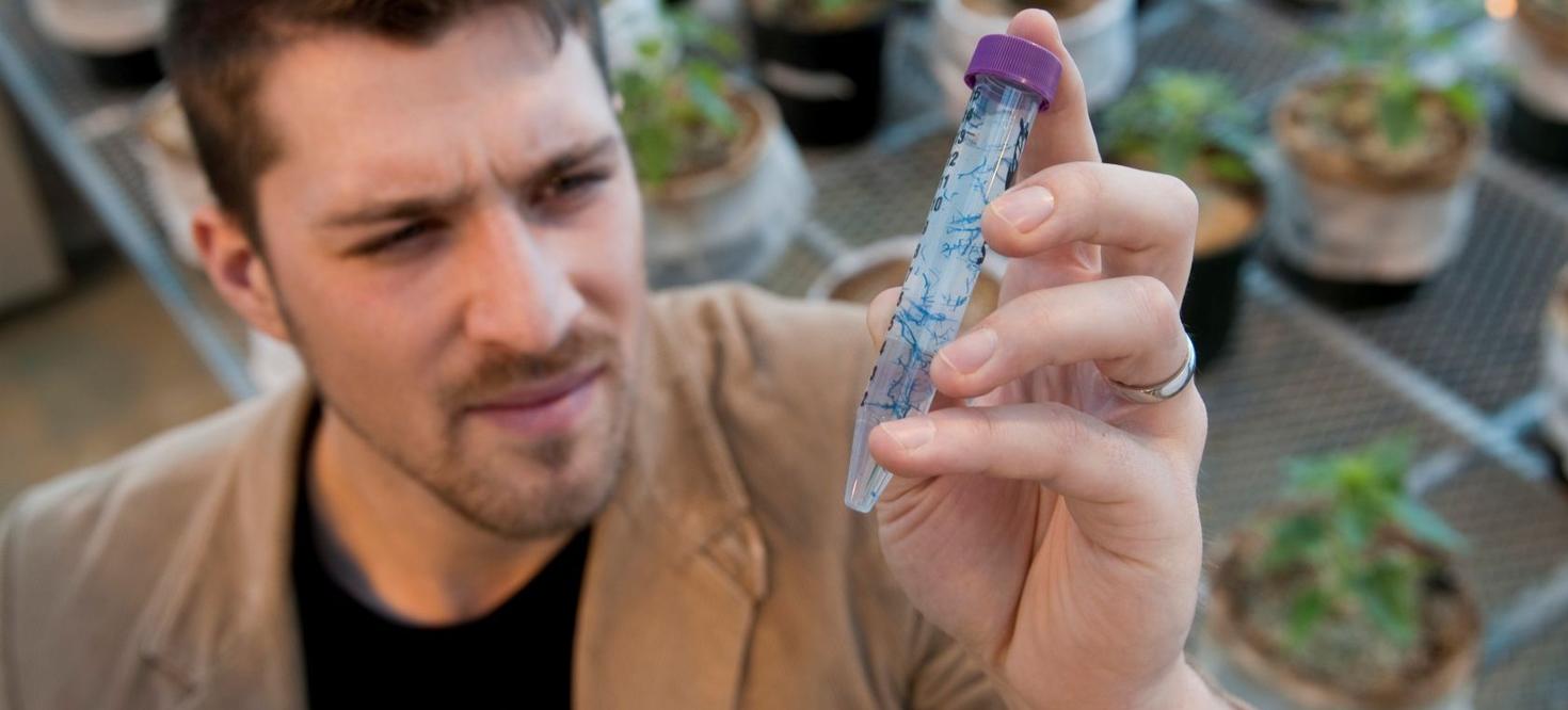 Un homme regarde de près un échantillon de liquide