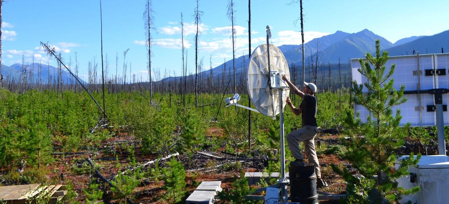 Le professeur Pascal Audet travaillant sur le terrain au Yukon