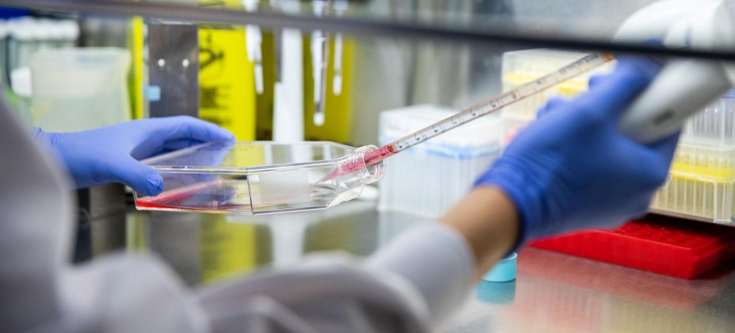 Gros plan sur les mains manipulant un échantillon sous une hotte chimique