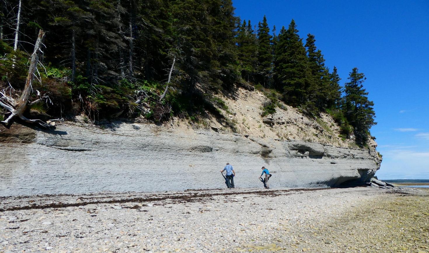 Prélèvement d’échantillons dans l’intervalle de l’Ordovicien–Silurien à la Baie Gamache (île d’Anticosti).