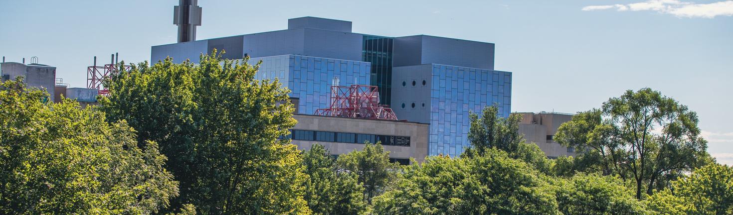 Plusieurs bâtiments de l'Université d'Ottawa sont visibles derrière les arbres.
