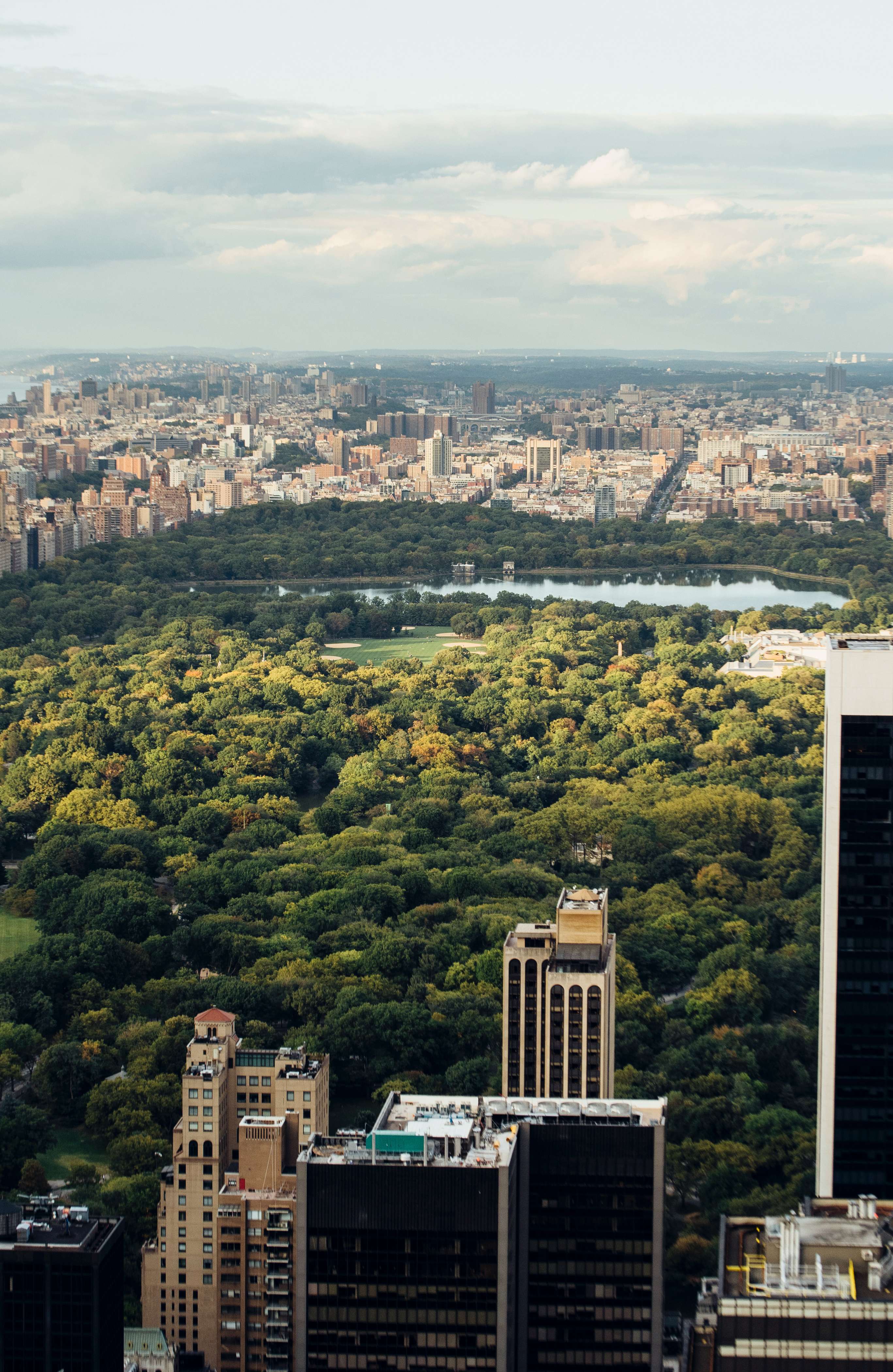 New York and Central Park.