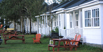 Semi detached houses in a row.