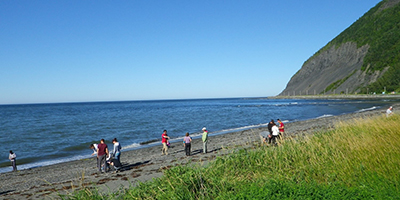 Fields in Gaspésie.