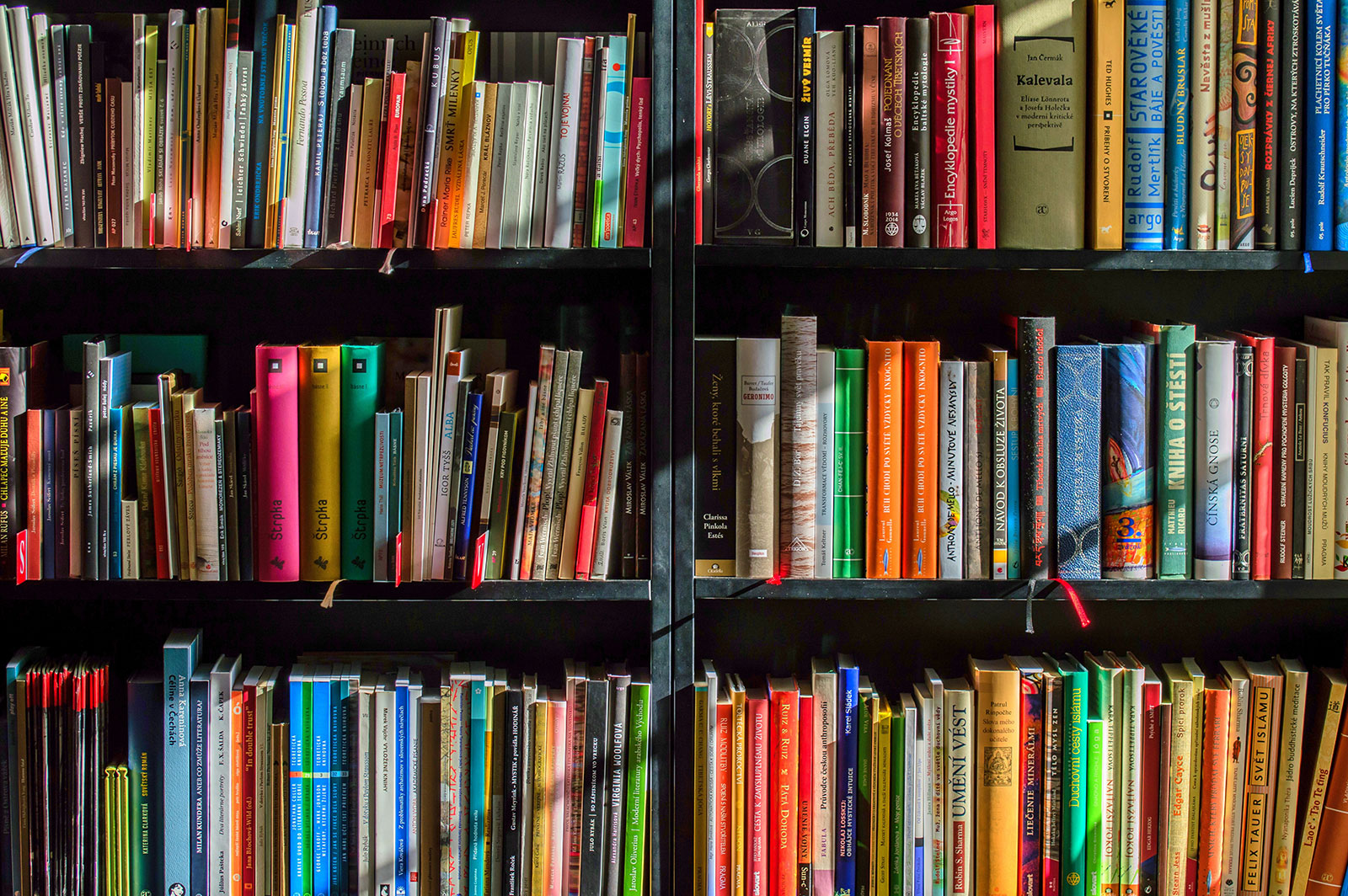 Colourful books on a shelf