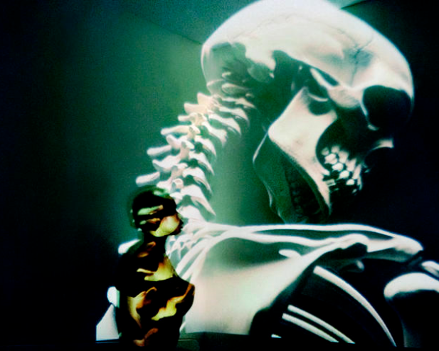 Picture of a skeleton