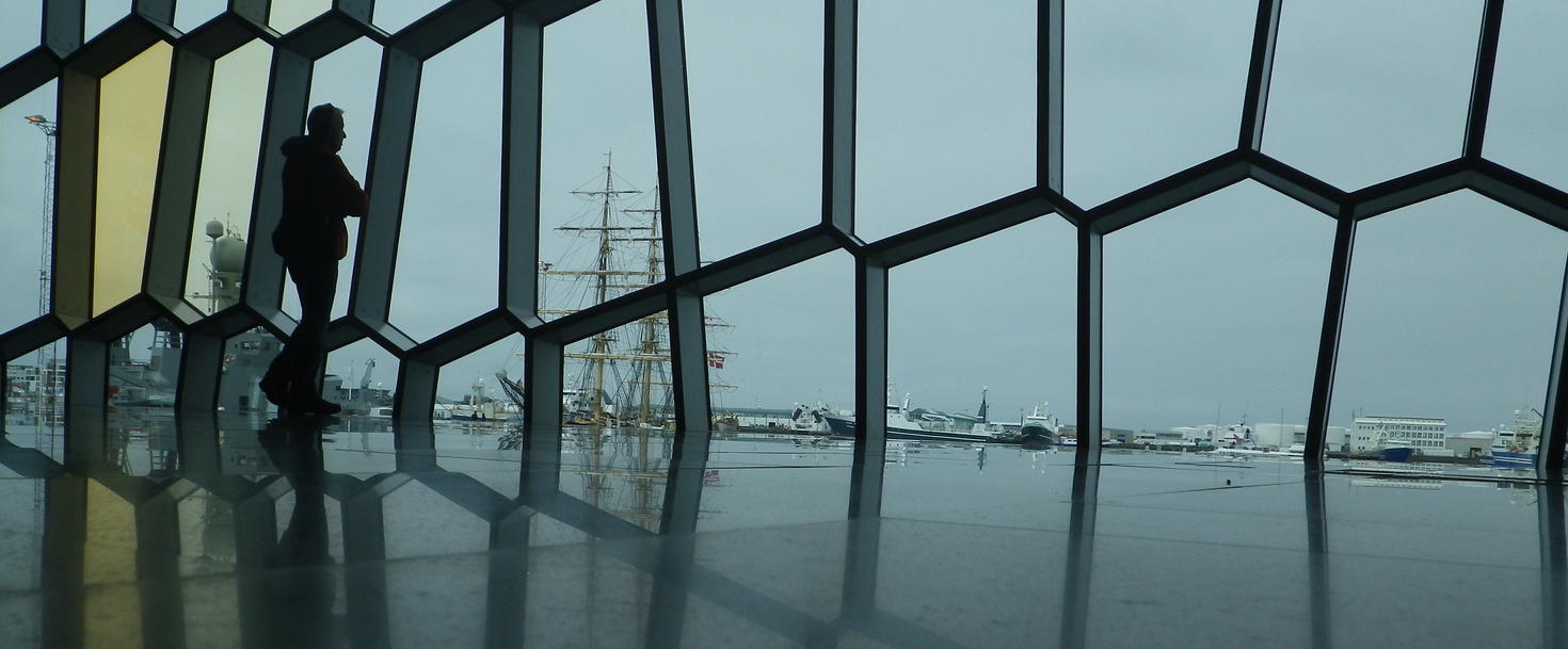 Person looking outside onto ships