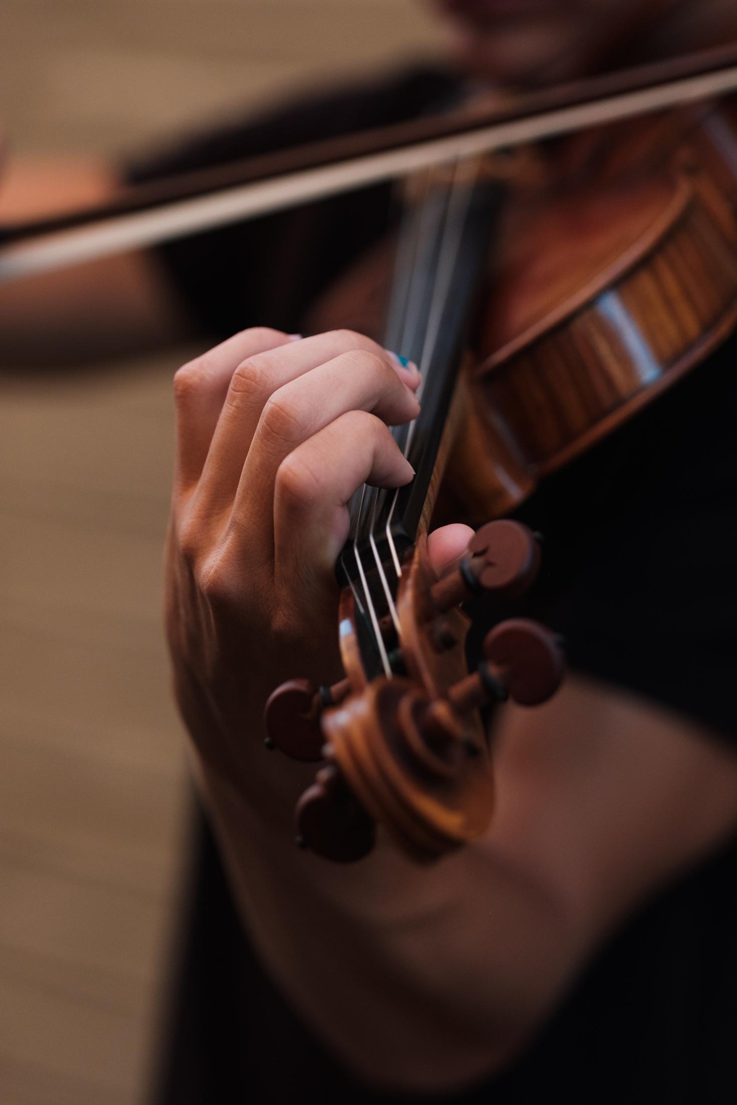 Viola player