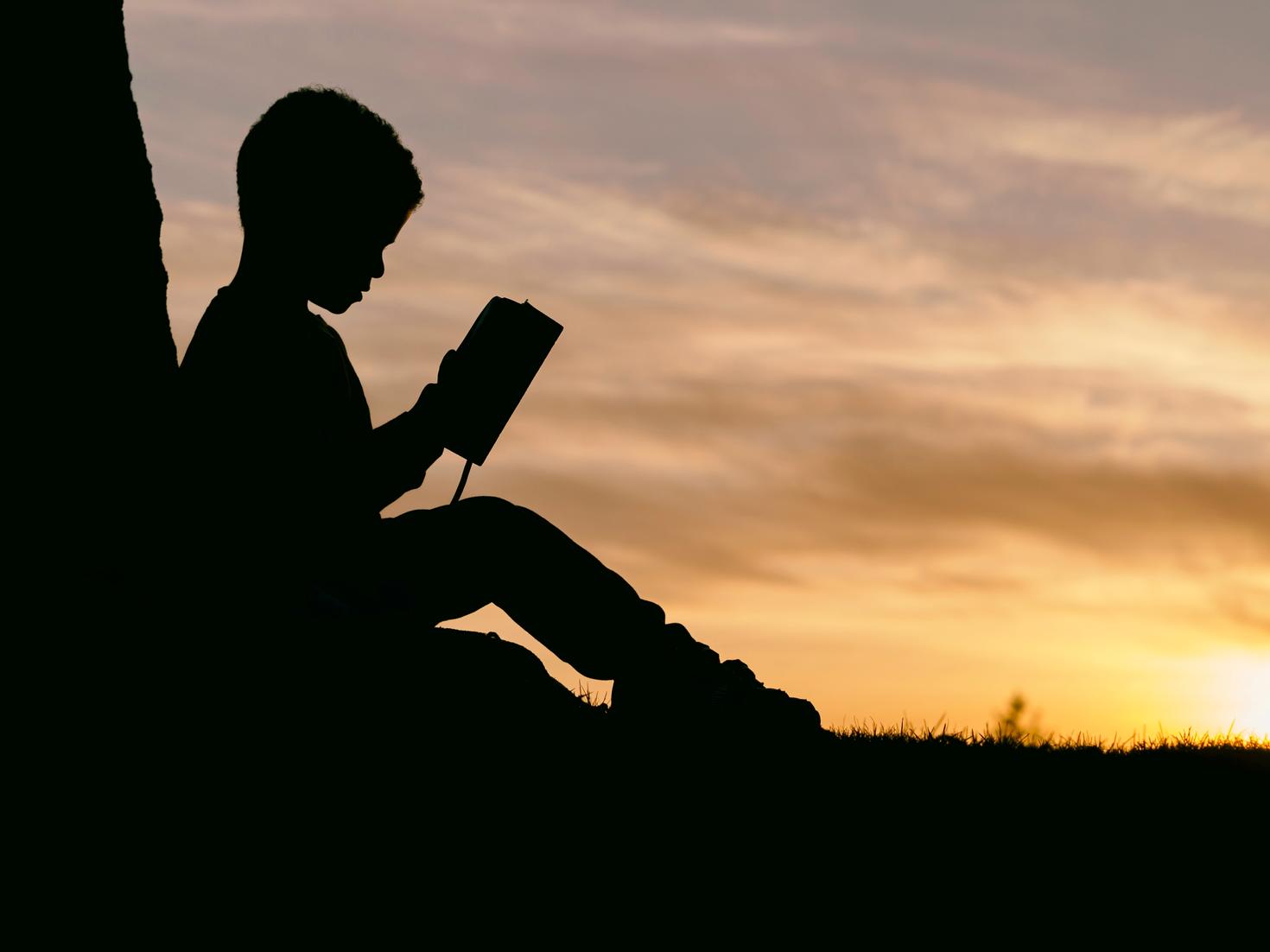 Little boy reading a book at sunset