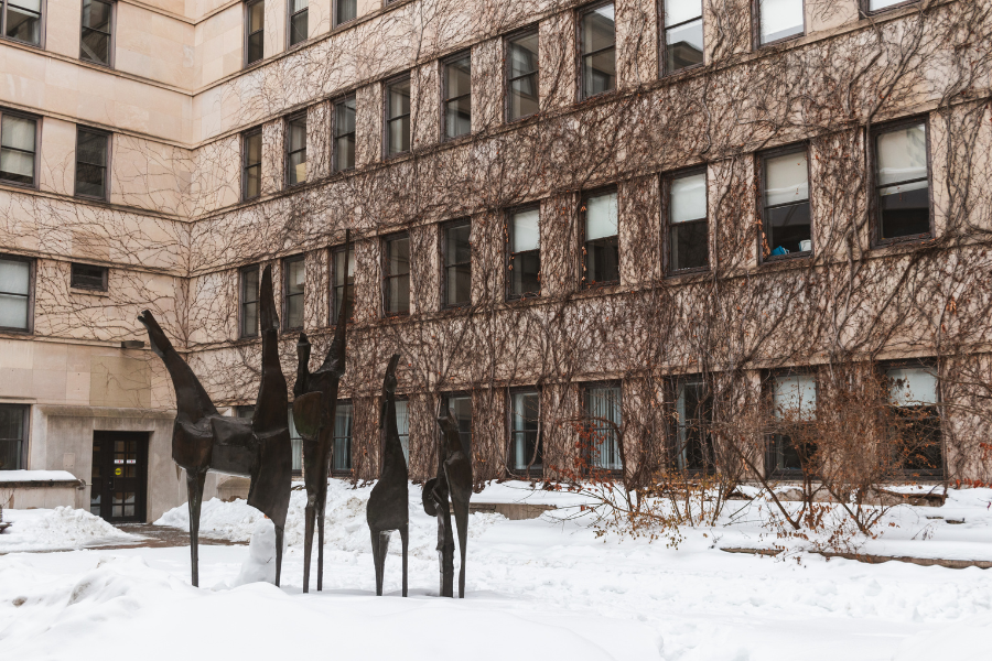 Campus in winter