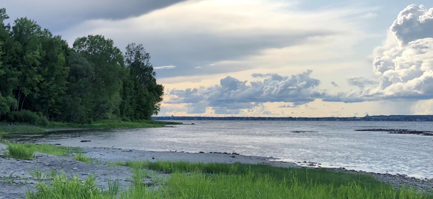 River shoreline