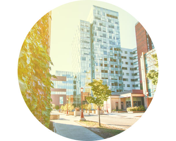 uOttawa buildings
