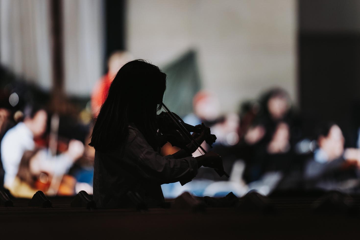 Violinist