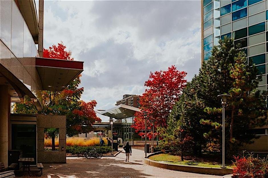 Interactive Campus Tour