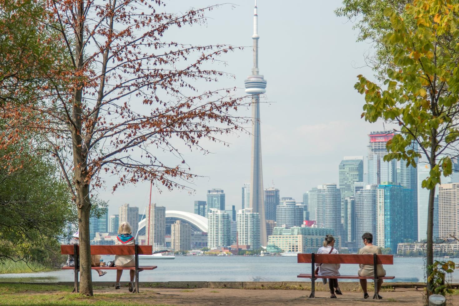 View of CN Tower from park.