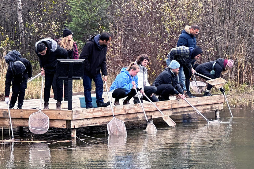 People with nets standing on a dock