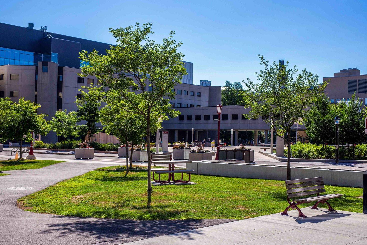 uOttawa campus.