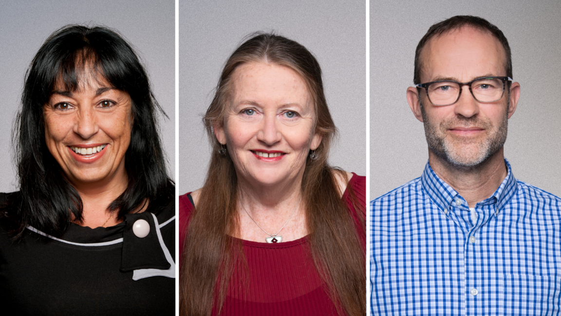 Three portrait images of professors