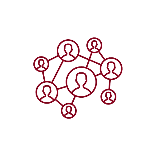 Network icon