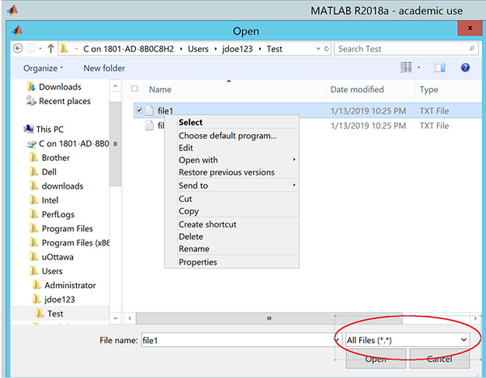 Screenshot of remote apps.