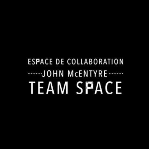 John McEntyre Team Space logo.