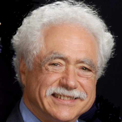 Professor Terry Winograd.