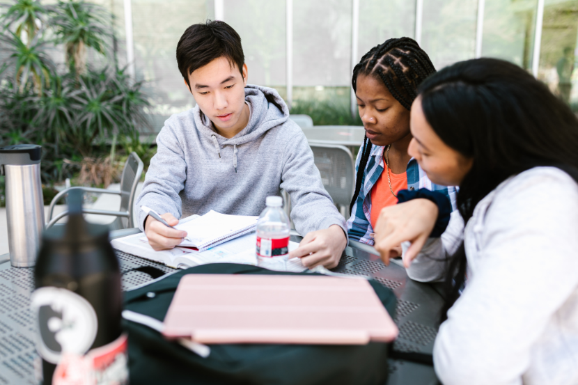 Group of students.
