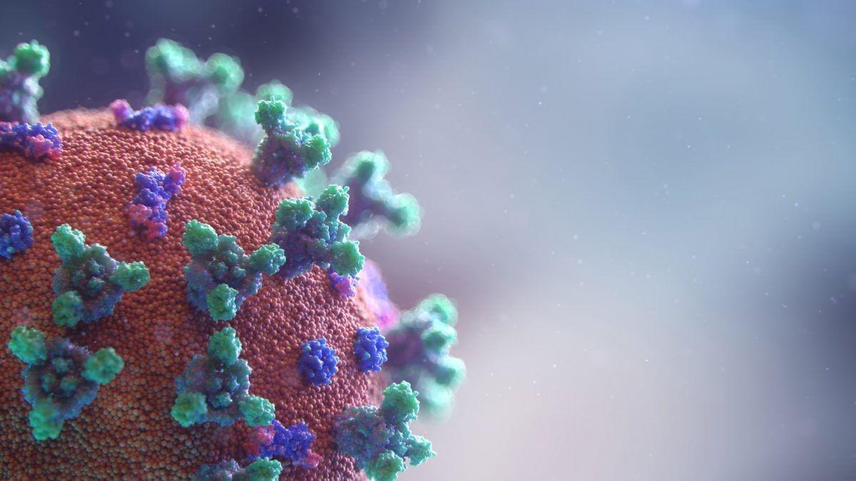 COVID-19 virus