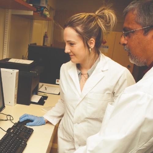 researchers working together