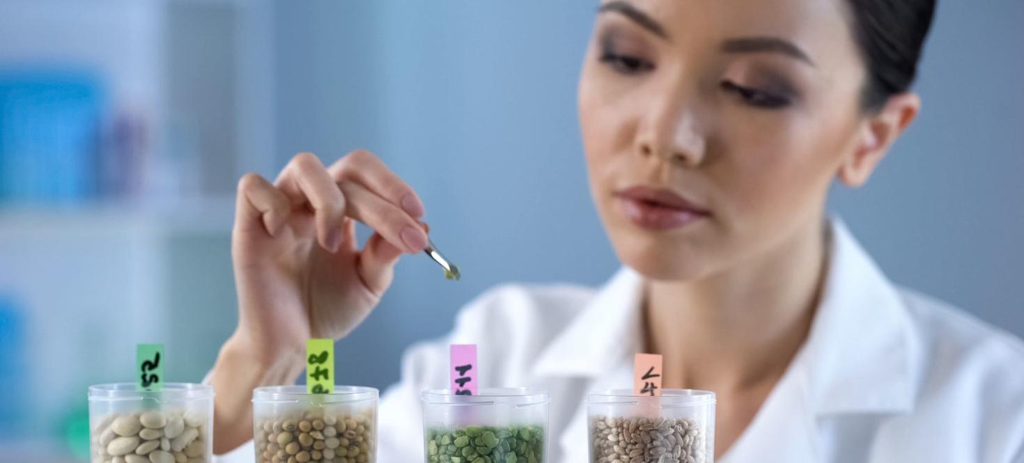 A woman tests different legumes with a dropper