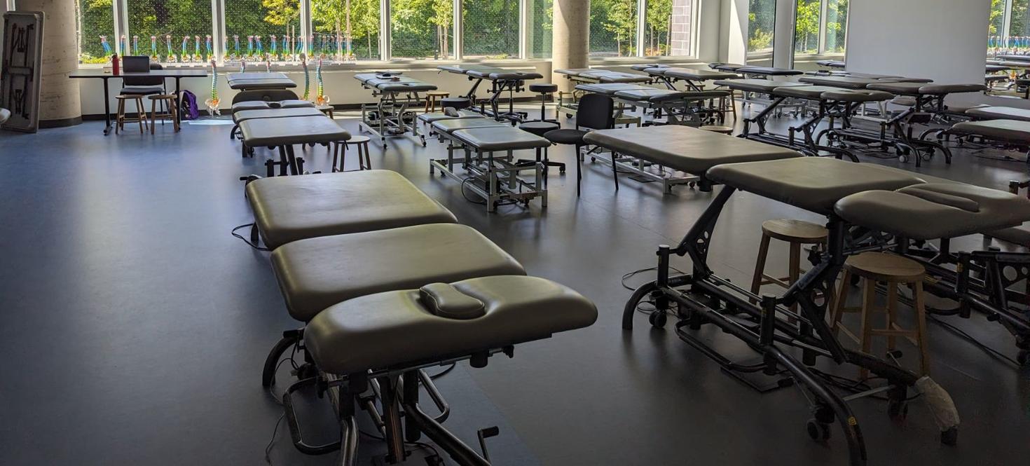 A room with many massage/physio tables in it