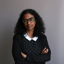 Professor Sathya Karunananthan